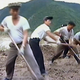 North Korean workers build levees along a river bank in an undated image from a video released by state media on Monday. Image: KRT via AP